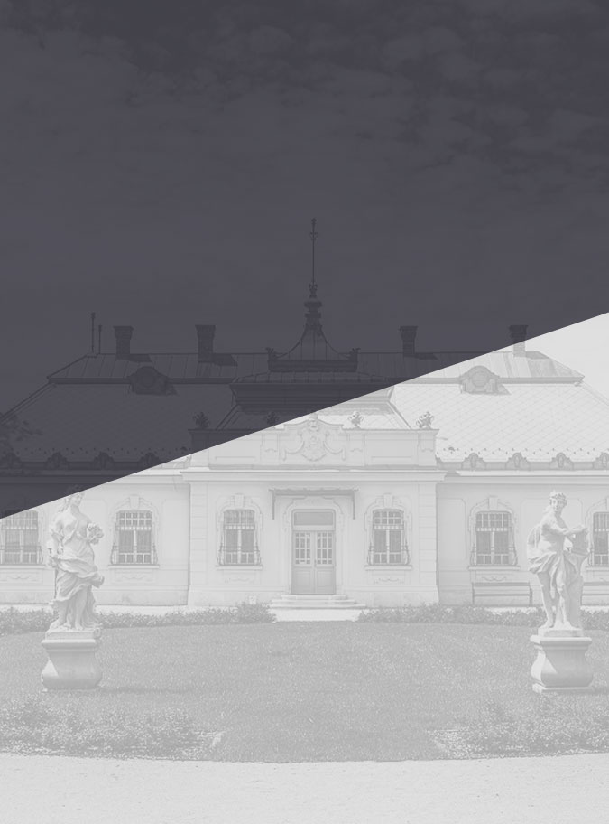Kápolnásnyék önkormányzati honlapkészítés